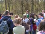 Kilka słów o biologii lasu