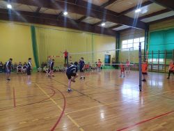 IMG_20230309_100752